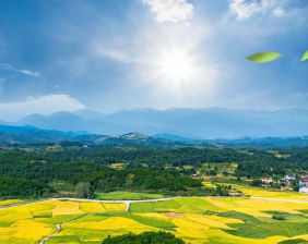 天厚潔能保柴油凈化器：鄉(xiāng)村振興路上的綠色護航者